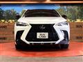 2021 Lexus NX