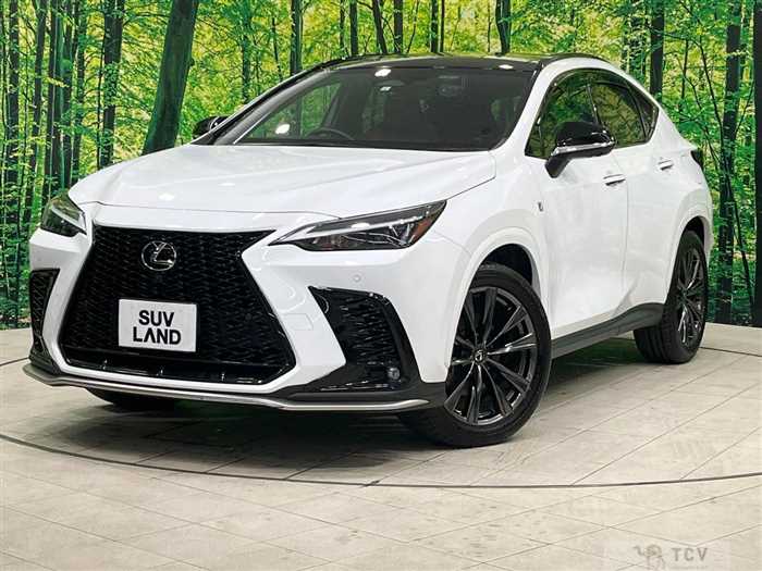 2023 Lexus NX