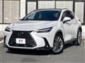 2022 Lexus NX