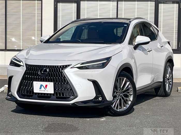2022 Lexus NX