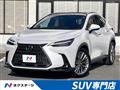 2022 Lexus NX