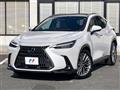 2022 Lexus NX