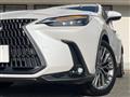 2022 Lexus NX