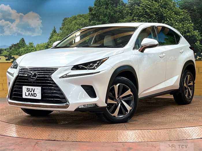 2018 Lexus NX