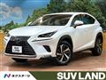2018 Lexus NX