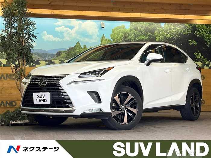 2019 Lexus NX