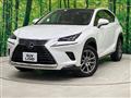 2020 Lexus NX