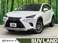2020 Lexus NX