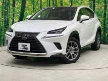 2020 Lexus NX