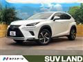 2021 Lexus NX