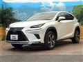 2021 Lexus NX