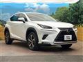 2021 Lexus NX