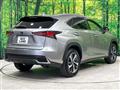 2018 Lexus NX
