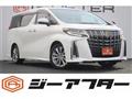 2020 Toyota Alphard G