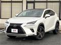 2019 Lexus NX