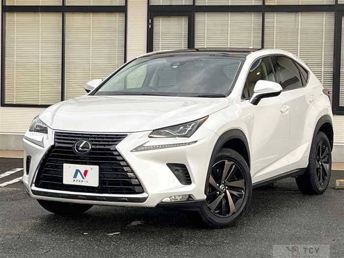2019 Lexus NX
