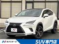 2019 Lexus NX