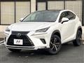 2019 Lexus NX