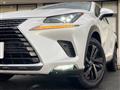 2019 Lexus NX