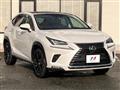 2019 Lexus NX