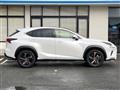 2019 Lexus NX