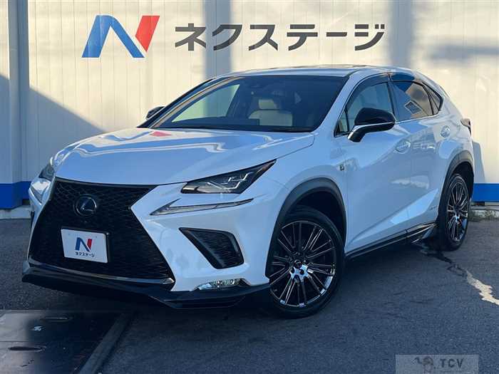 2019 Lexus NX