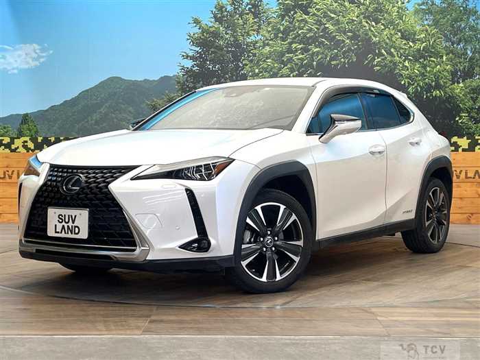 2020 Lexus Other