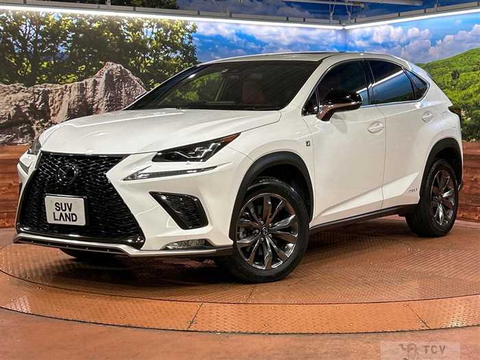 2017 Lexus NX