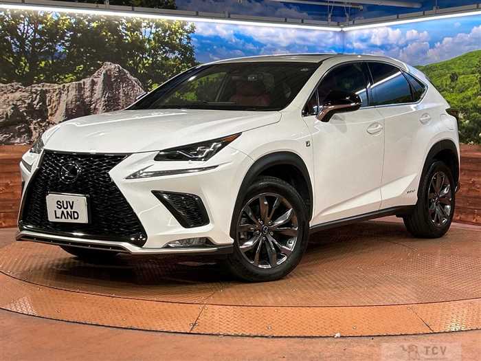 2018 Lexus NX