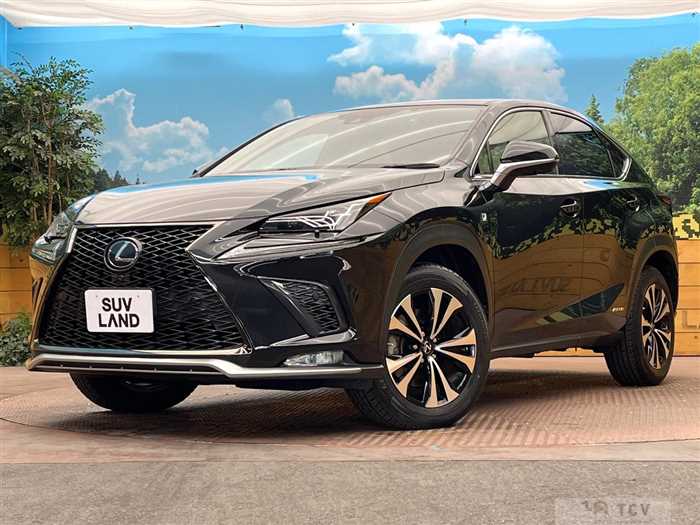 2019 Lexus NX