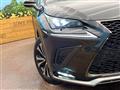 2019 Lexus NX