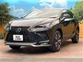 2019 Lexus NX