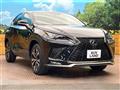 2019 Lexus NX