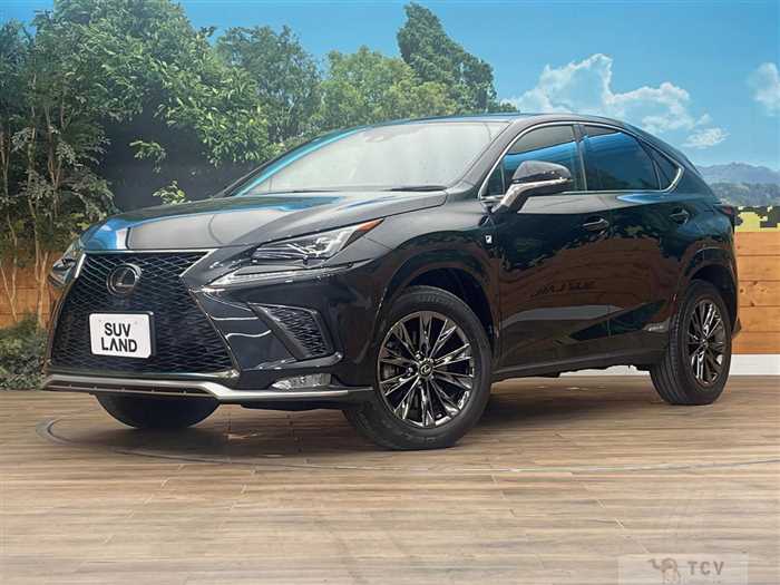 2021 Lexus NX