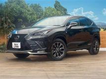 2021 Lexus NX