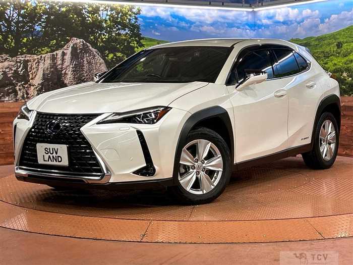 2021 Lexus Other