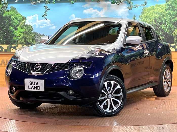 2015 Nissan Juke