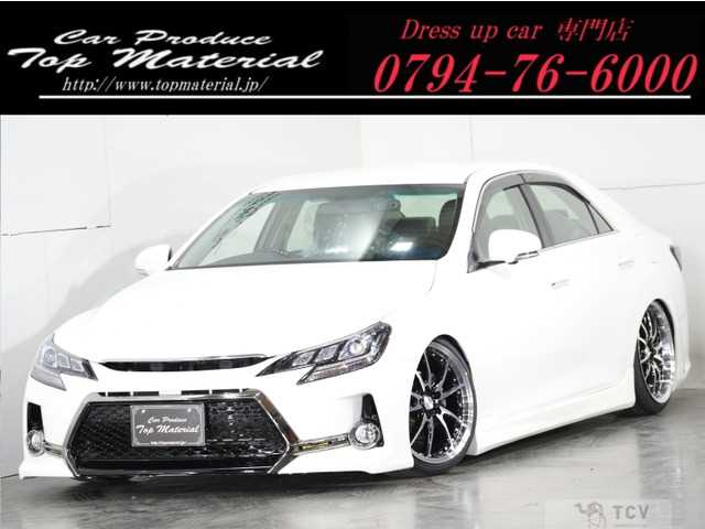 2010 Toyota Mark X