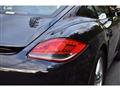 2010 Porsche Cayman