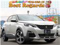 2017 Peugeot Peugoet Others