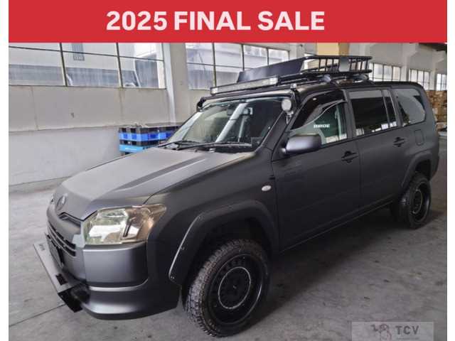 2016 Toyota Probox Van