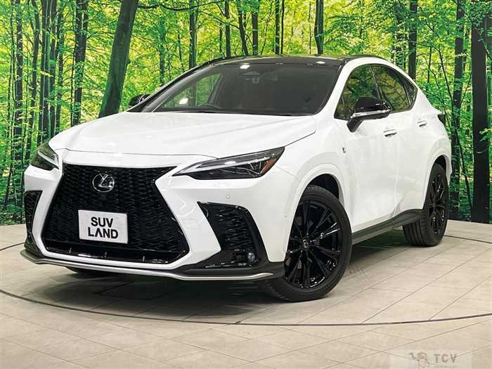 2022 Lexus NX
