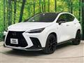 2022 Lexus NX