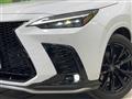 2022 Lexus NX