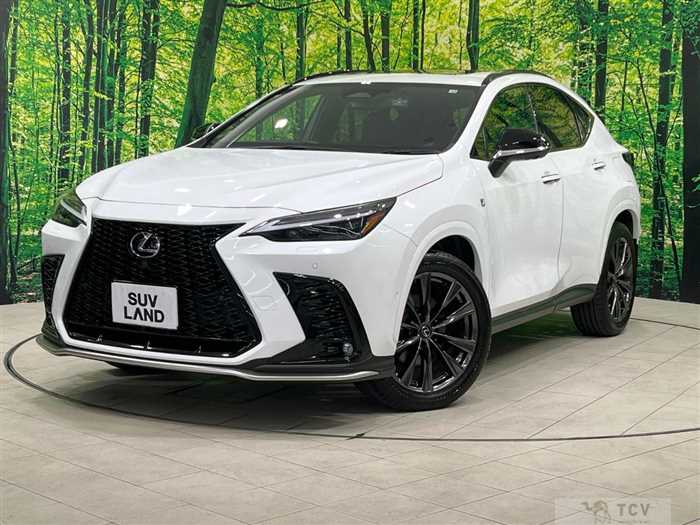 2022 Lexus NX