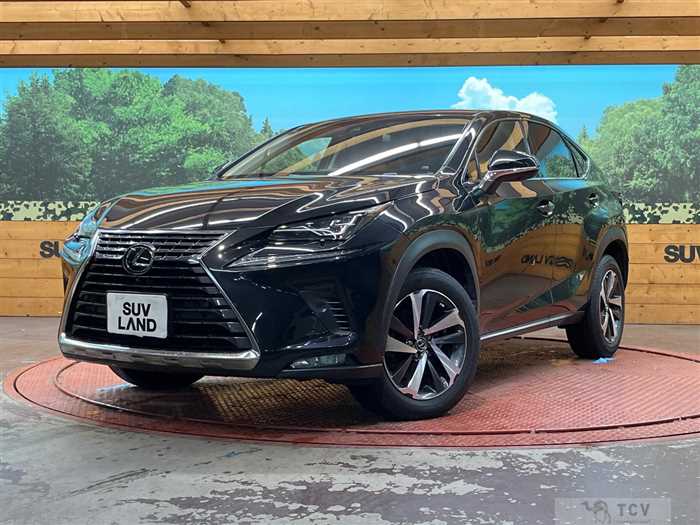 2017 Lexus NX