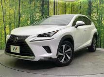 2018 Lexus NX