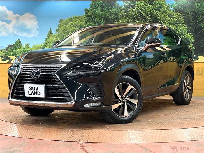 2017 Lexus NX