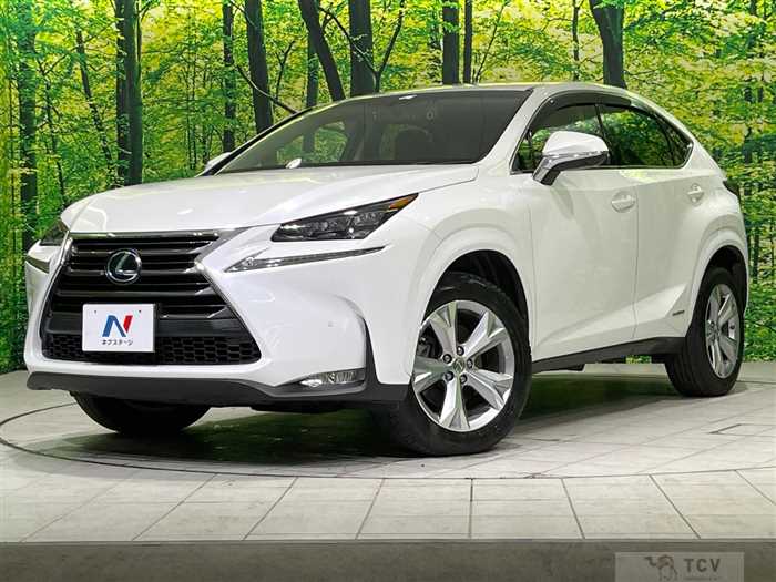 2015 Lexus NX