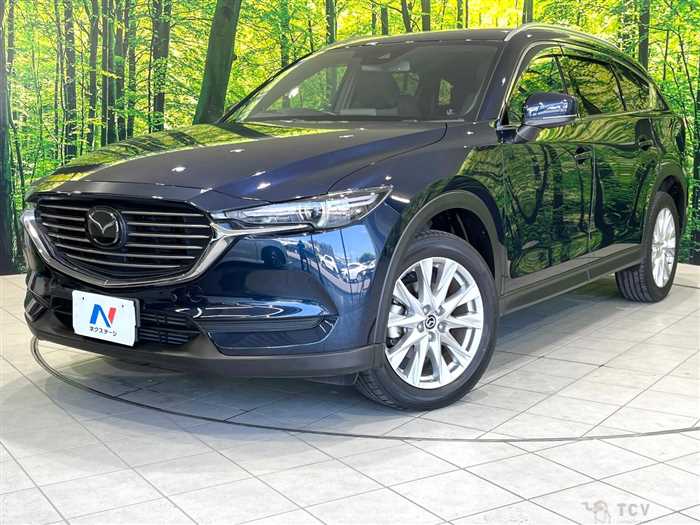 2018 Mazda CX-8